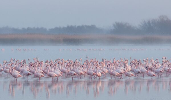bandar torkaman in winter