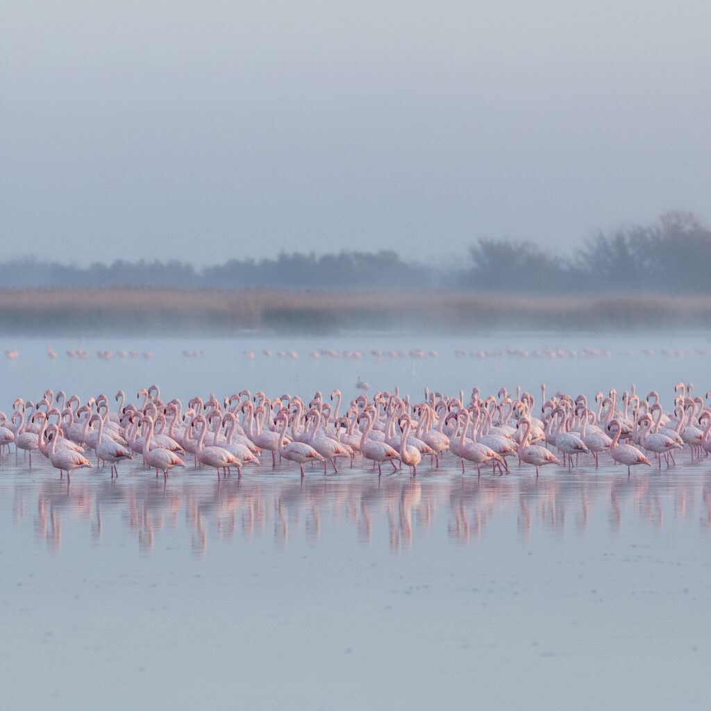 bandar torkaman in winter